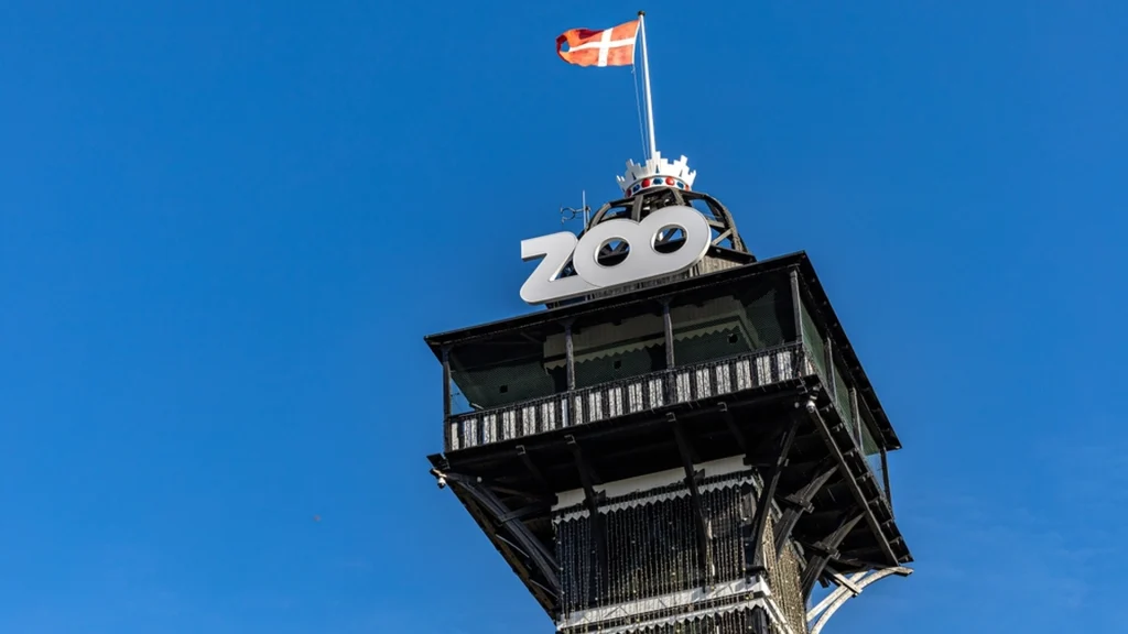 Dyrlægen Mikkel gjorde det utænkelige midt i København Zoo: Det er noget, der går 12 år tilbage