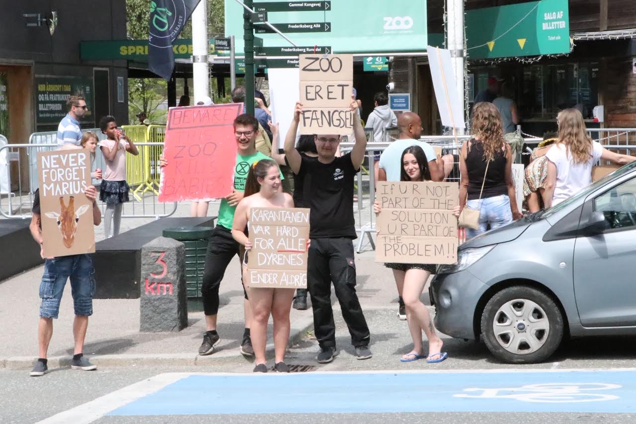 “ZOO er et fængsel”: Demonstranter ved Københavns Zoologiske Have