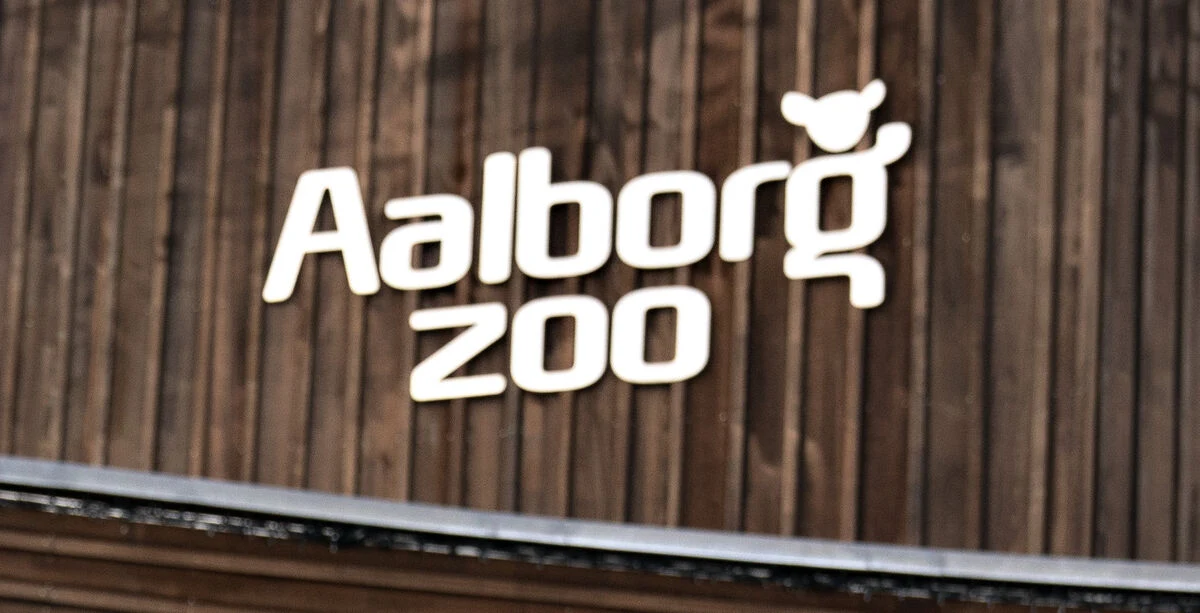 Har været på tegnebrættet siden 2015: Nu deler Aalborg Zoo stor nyhed
