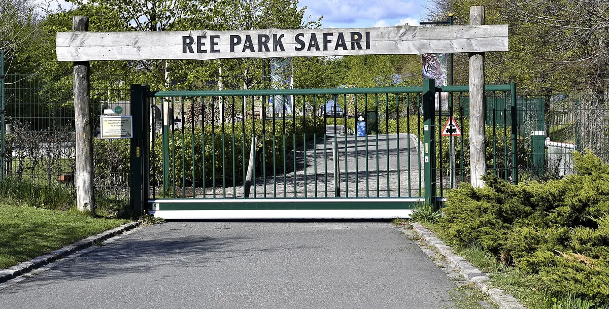 Efter trist meddelelse: Nu deler Ree Park Safari glædelig nyhed