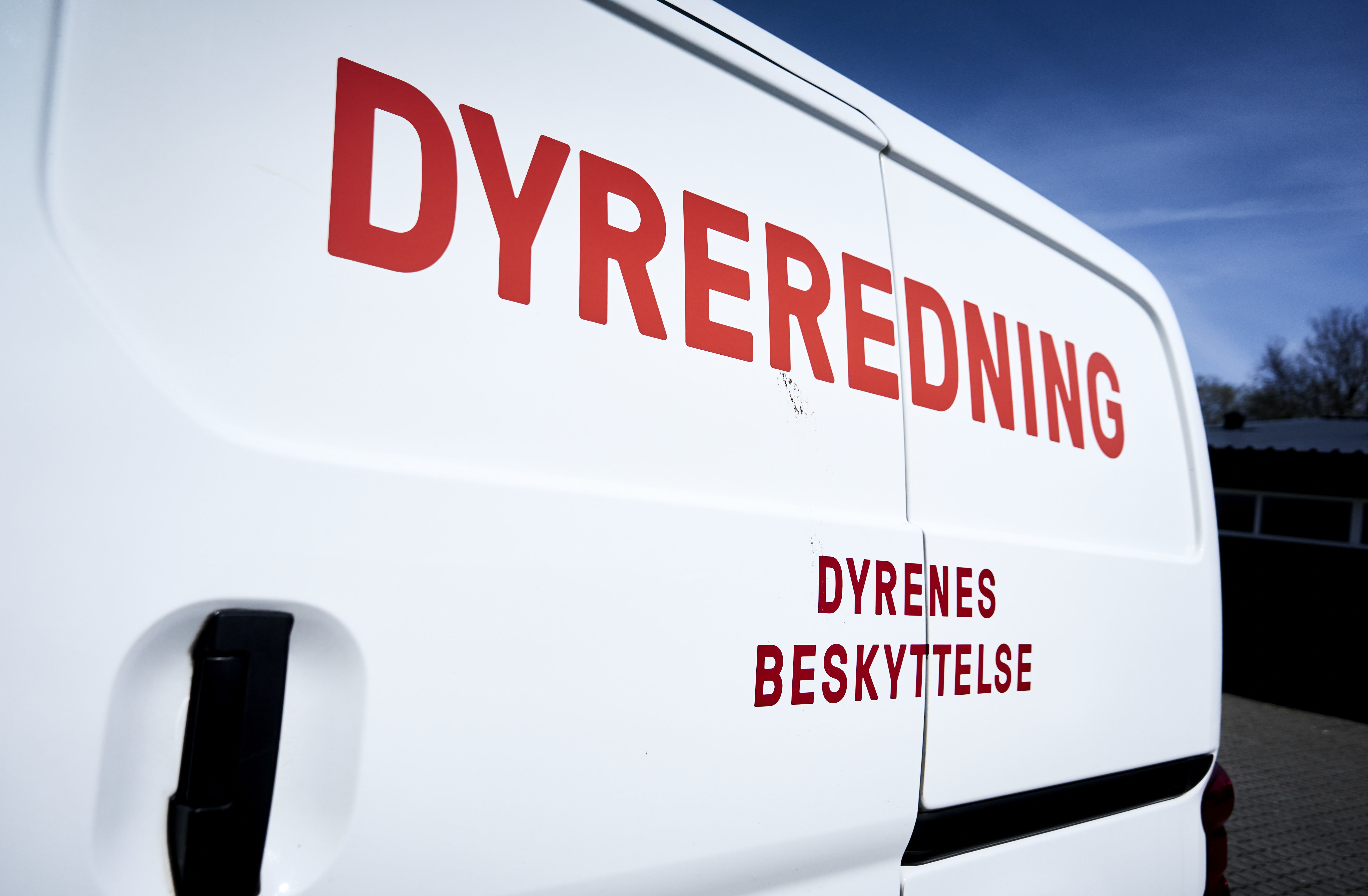 Dyrenes Beskyttelse melder ud: Gør det ikke!