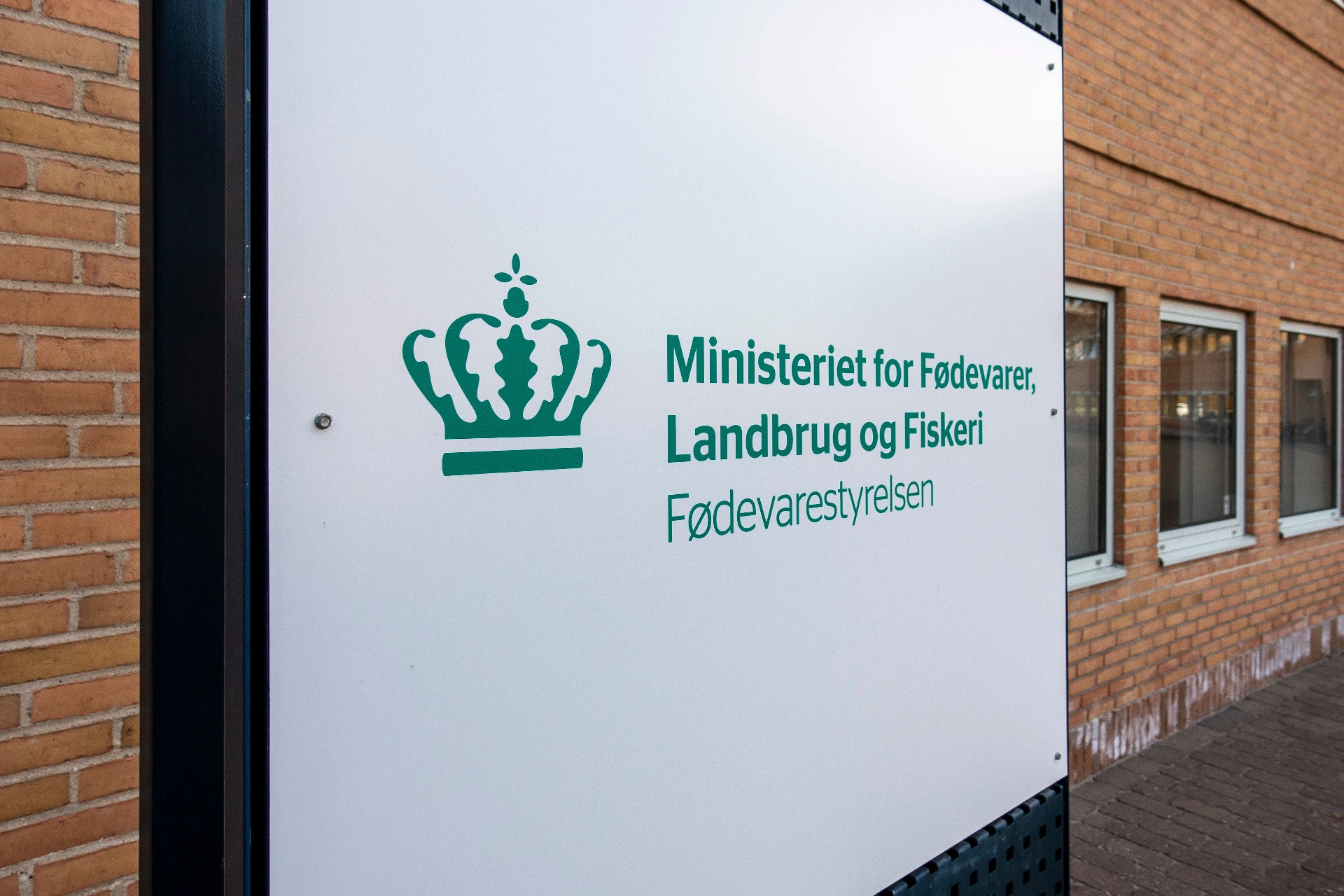 Trods udbrud af mund-og klovsyge i Tyskland: Lav risiko i Danmark