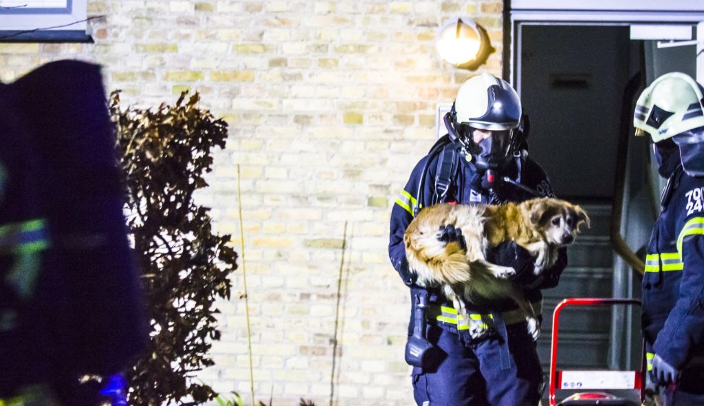Juledekoration sætter ild til lejlighed: Hunde, katte og kvinde røgforgiftet