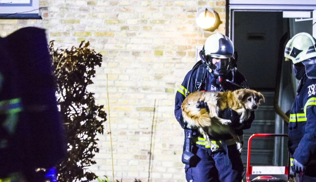 Juledekoration sætter ild til lejlighed: Hunde, katte og kvinde røgforgiftet