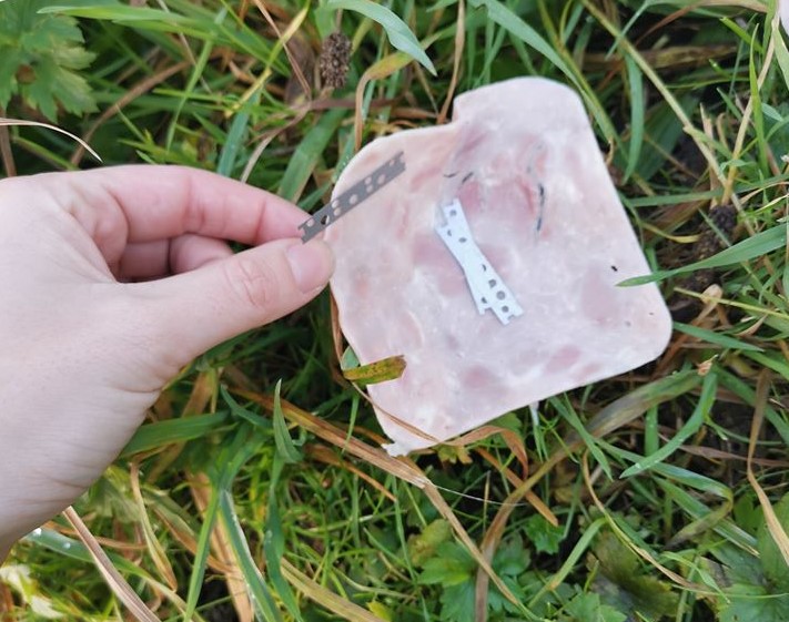 Hundeejer fandt skinkestykker med barberblade i: Nu advarer hun andre