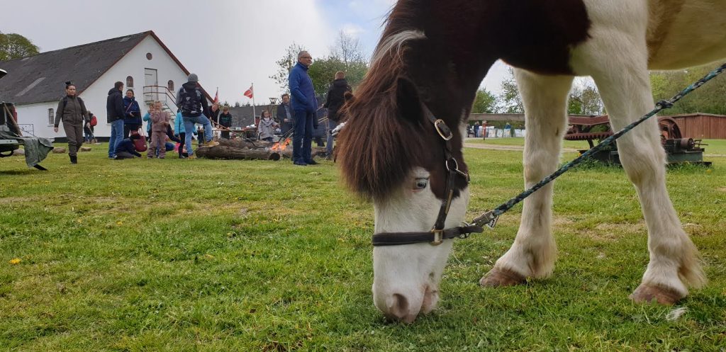 Landbomuseet fejrer efterårsferien med gratis ponyridning, bålfortællinger og æblemost