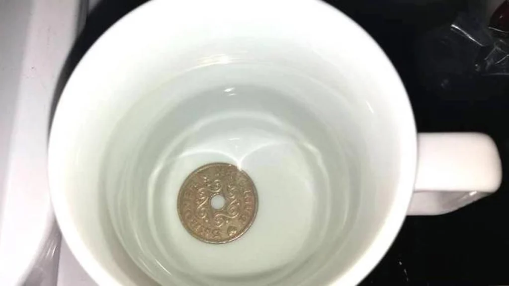 Alt for få kender dette trick: Læg en mønt i fryseren før du tager på ferie
