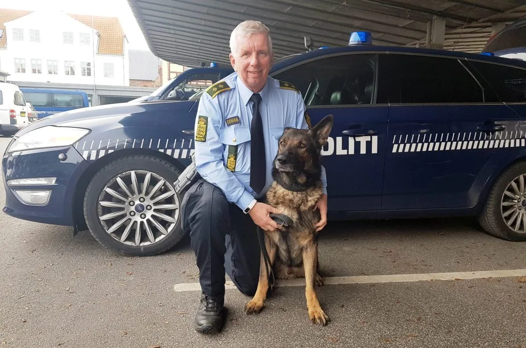 Årets Politihund: Heltemodige Chuck fandt savnet person i det kolde vand