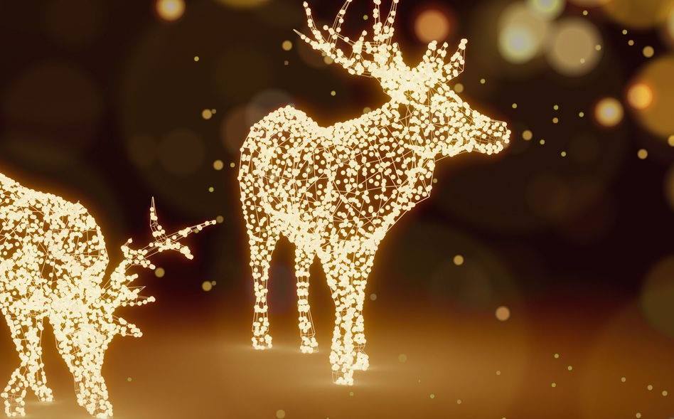 Kom til stor julefest i Aalborg Zoo