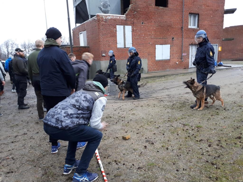 Flyvende murbrokker, skrig og demonstranter: Politihunde fik deres sag for