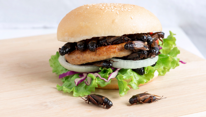 Vidste du det? Du spiser cirka et halvt kilo insekter om året