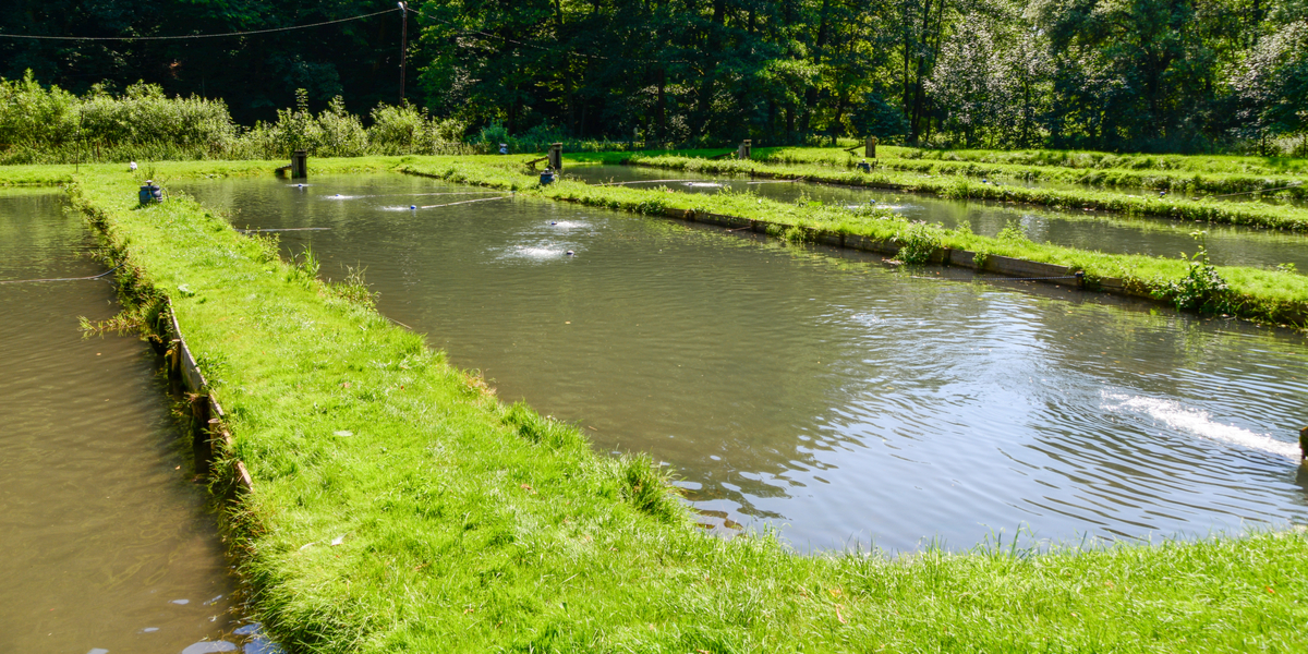 Smittet: Andet tilfælde af ny sygdom inden for en uge