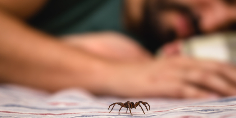 Edderkopperne forsvinder øjeblikkeligt: Mor hyldes for nemt og billigt trick