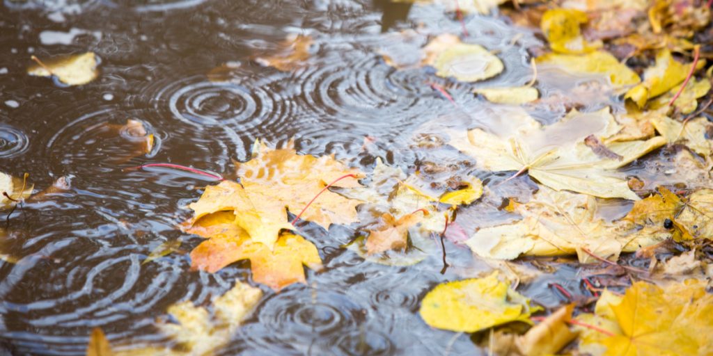 DMI med trist nyt: Langt over normalen