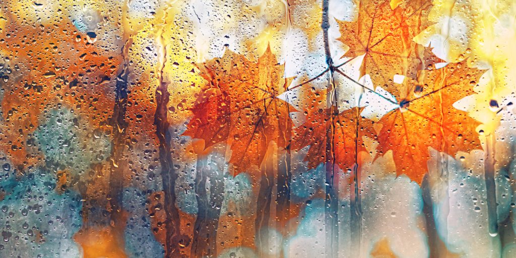 DMI med trist melding: Markant vejskifte rammer Danmark