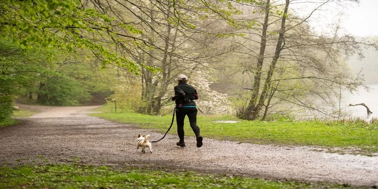 Alle taler om det: Nu kan din hund og dig også gå til løb i Danmark
