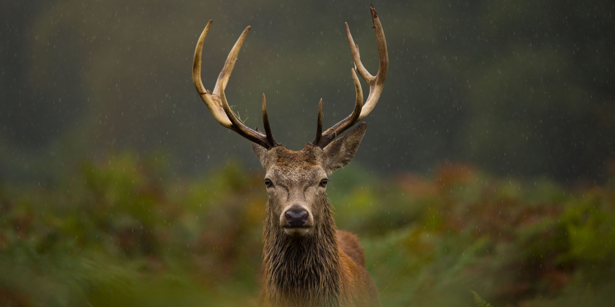 LIGE NU: Skal sikre, at færre bliver dræbt