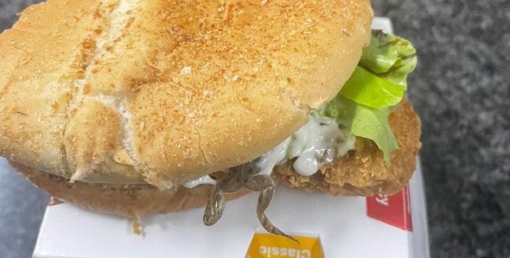 Slimet overraskelse: Fik ‘McFroggie’ i stedet for ‘McChicken’