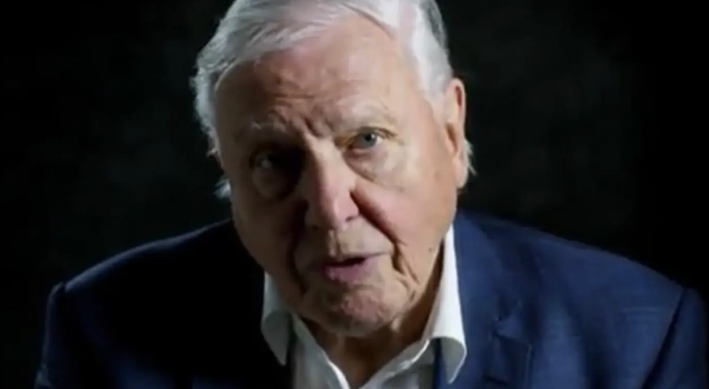 David Attenborough “hjalp” med at opklare et mord: Sådan skete det