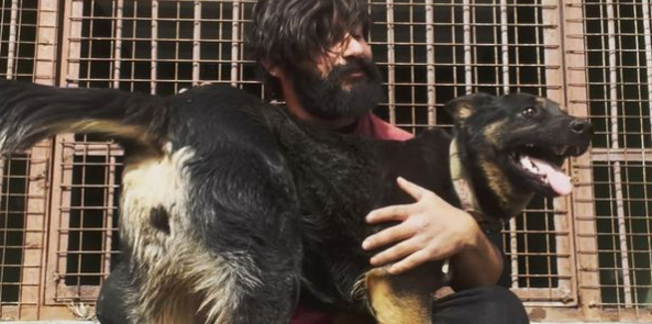 Hundetræner hyldes: Rejste til Ukraine med hjerteskærende formål