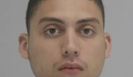 21-årig ødelagde antikke kunstværker for 35 millioner kroner: Årsagen har efterladt internettet chokeret