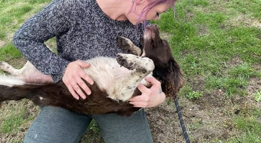 Kvinde begravede sin hund i haven: Så fik hun et overraskende opkald