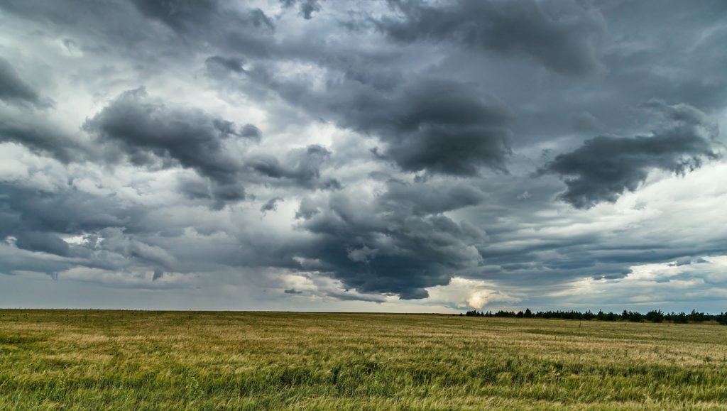 Advarer: Kraftig regn og blæst over Danmark
