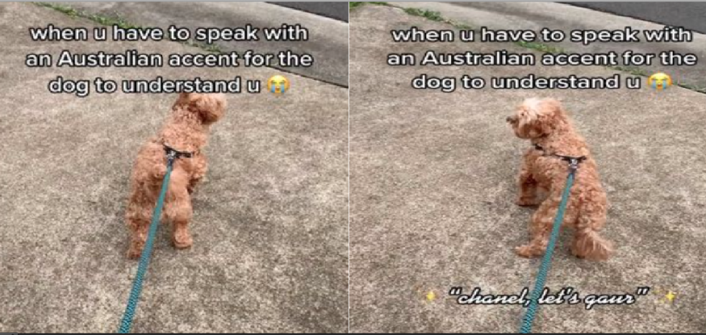 Video går viralt: Kvinde tvunget til at tale med australsk accent til sin hund