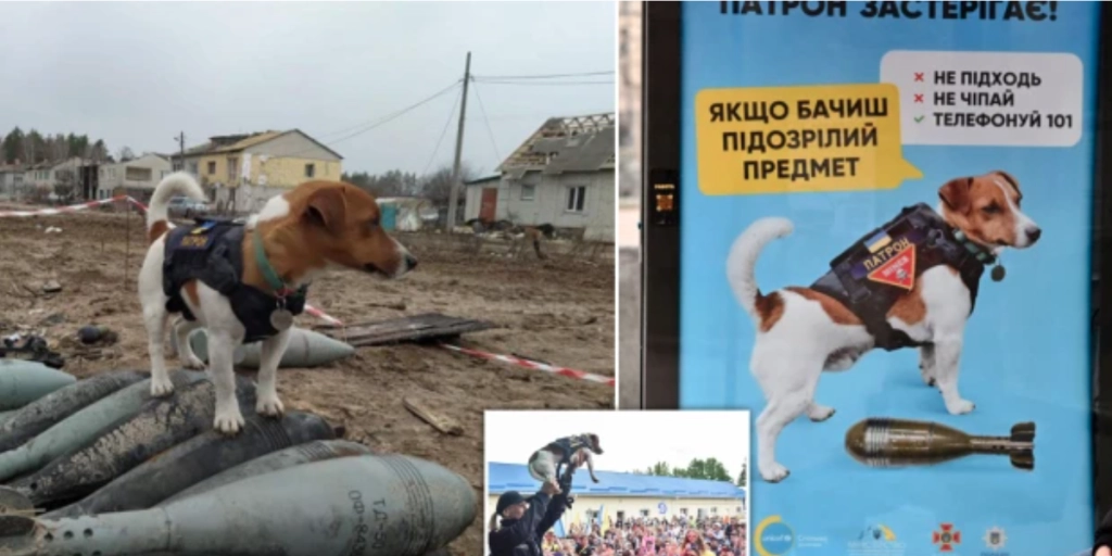 Heroisk bombehund bliver ansigtet for ukrainsk sikkerhedskampagne