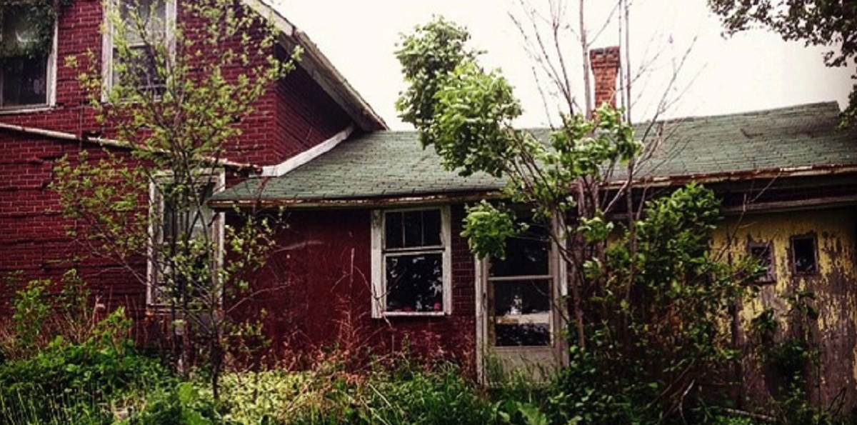 Fotograf fandt faldefærdigt hus midt i skoven: Hun fik et kæmpe chok, da hun åbnede døren