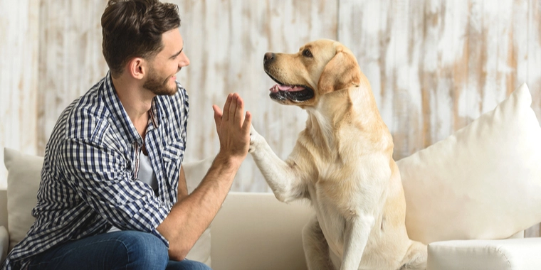 Sådan undgår du at din hund får coronastress