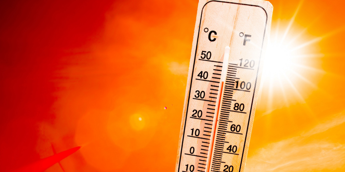 Ekstrem hedebølge: 15 grader varmere end normalt