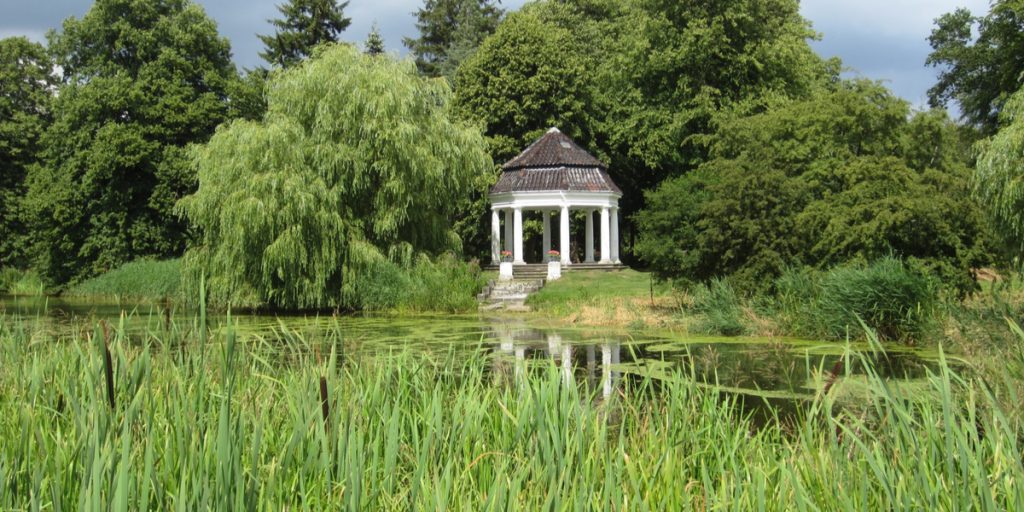 Første gang i 50 år: Nyt dansk syn begejstrer