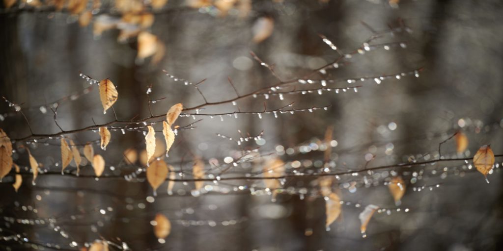 DMI kryber til korset: ‘Vi ramte skævt’