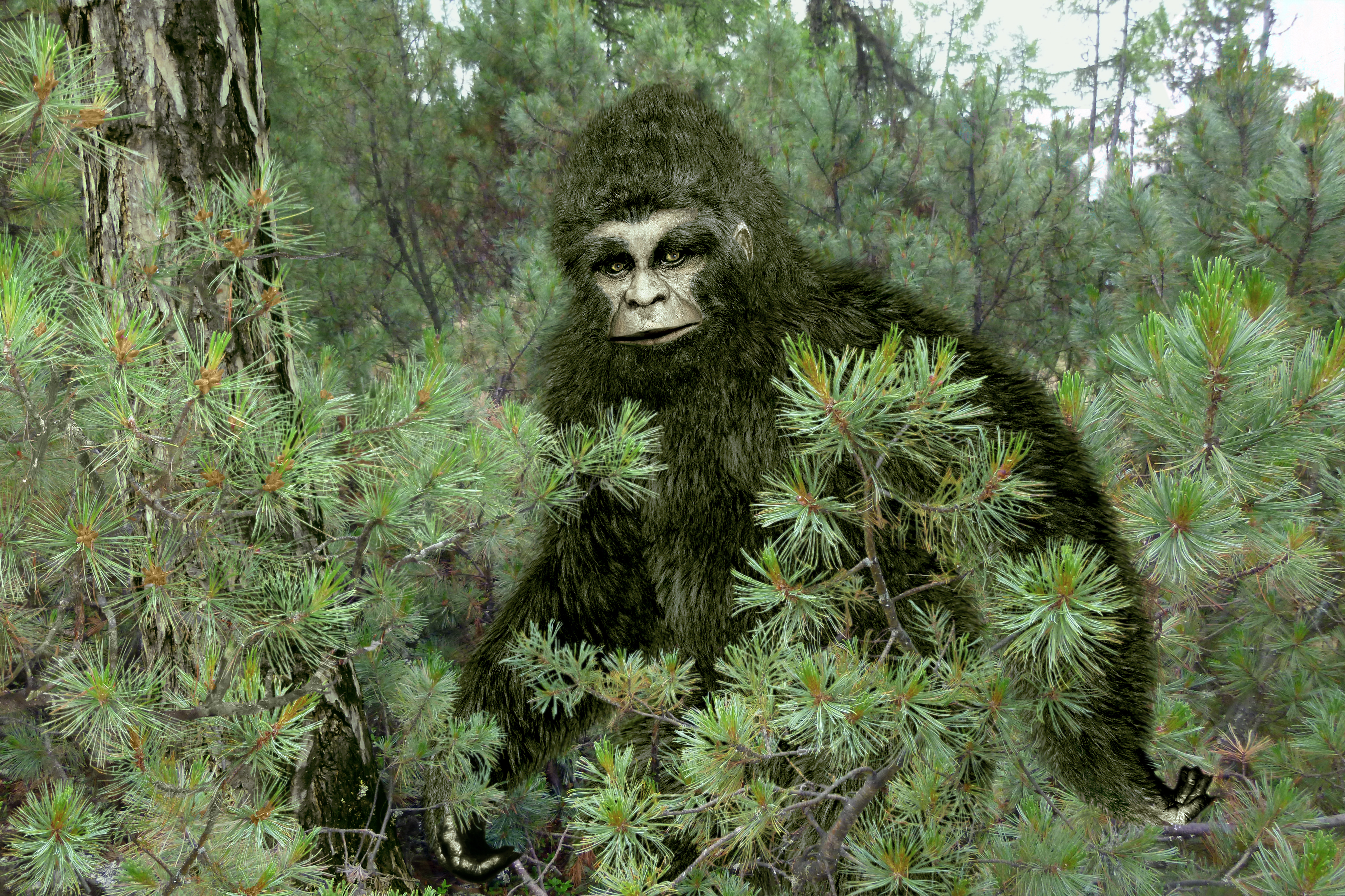 Sydamerikansk “Yeti”  opdaget af palæontologer – Se videoen i artiklen