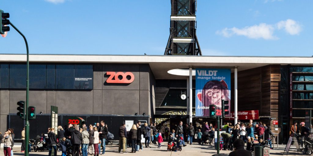 Julemirakel i Københavns Zoo: Den overlever