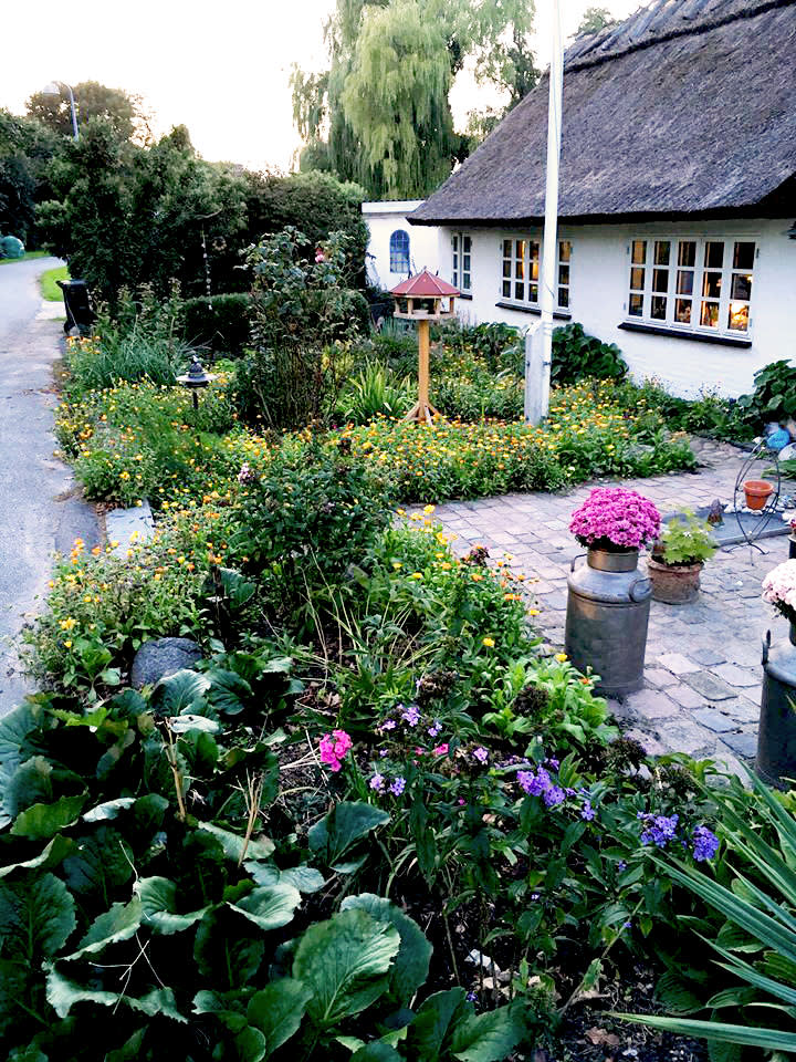 Havefolk dyster om årets forhave