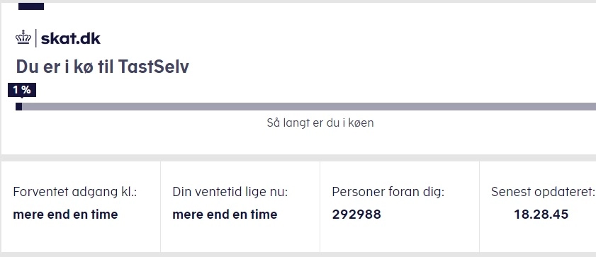 Sådan kan du springe køen til årsopgørelsen over