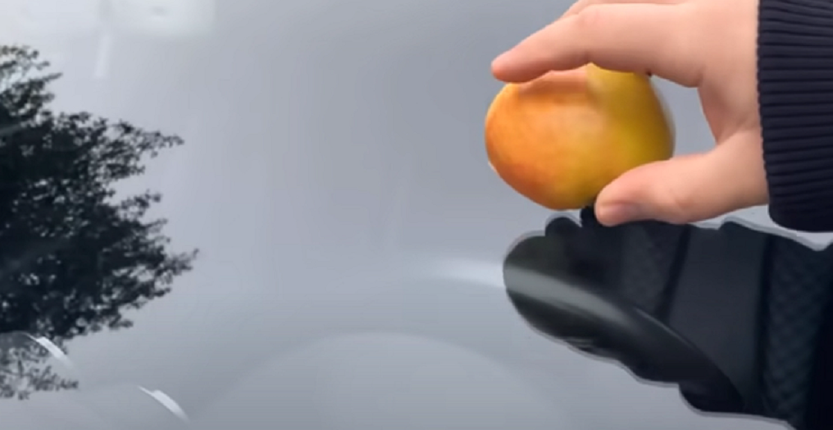 For få danskere kender dette geniale trick: Derfor skal du gnide et æble mod forruden på din bil