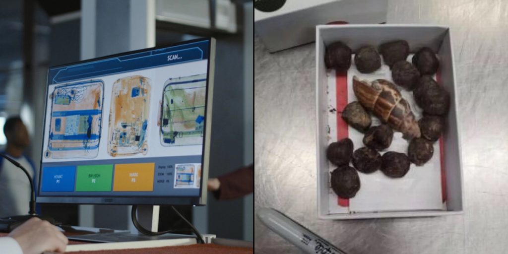 Kvinde blev stoppet i lufthavnen: Så gjorde de ‘vammelt’ og ‘stinkende’ fund i hendes bagage