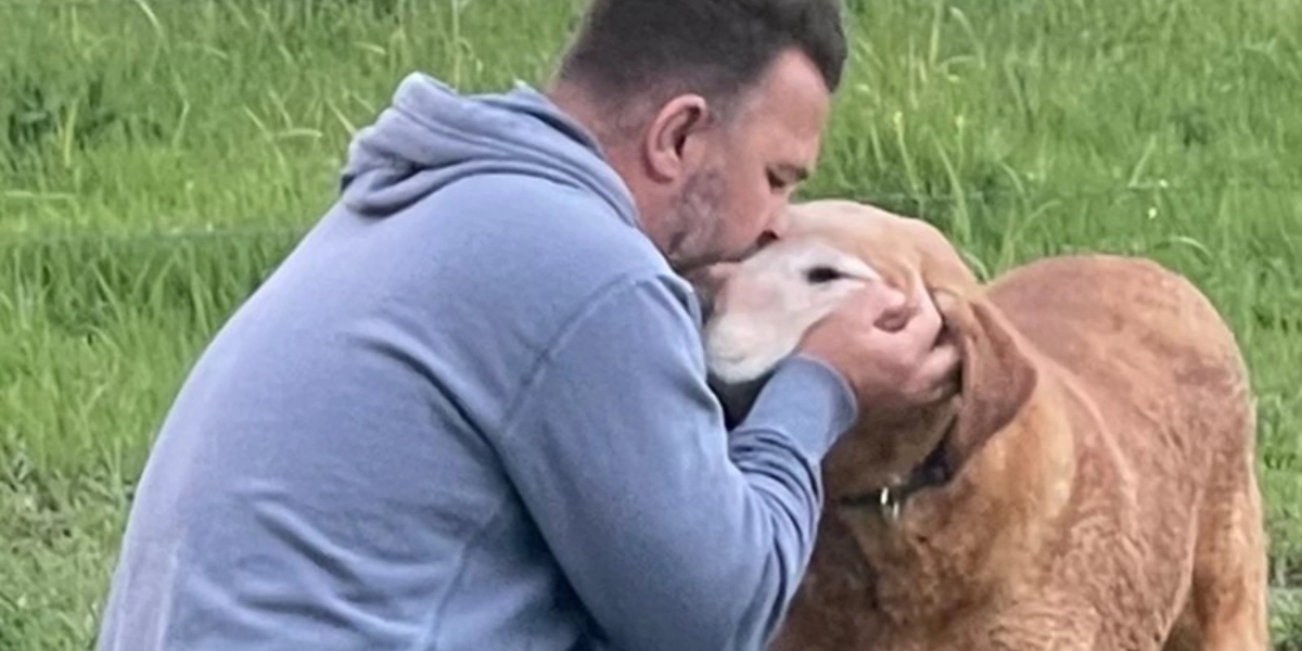 Hans hund løb hjemmefra: Da han hentede den på internatet, fik han den tilbage i en pose