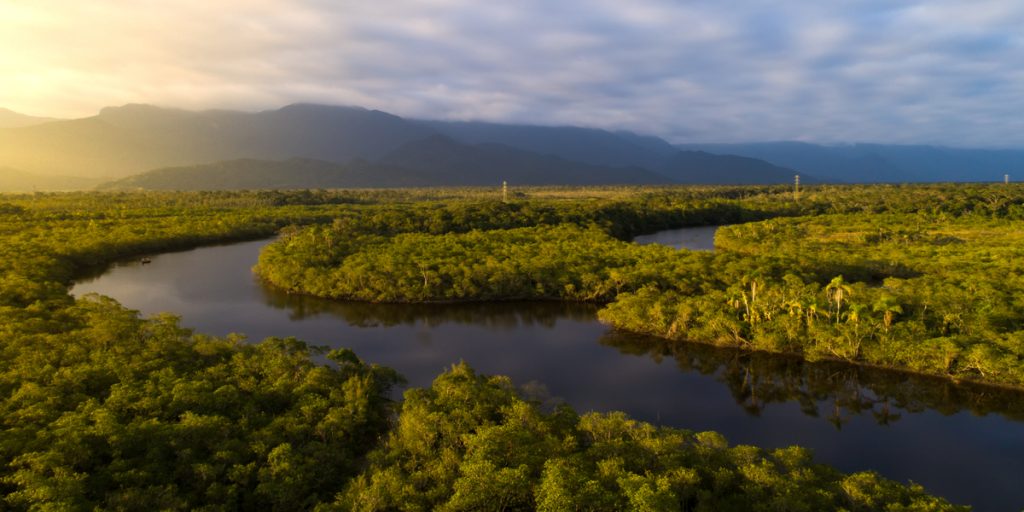 To små drenge fundet i live: Forsvandt i Amazonas for fire uger siden