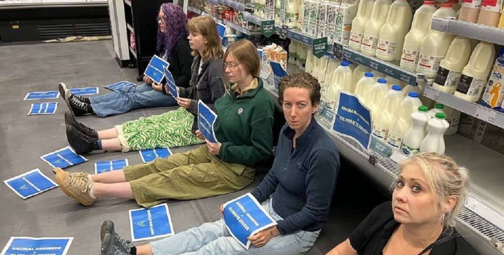 Veganere blokerer mælk i flere supermarkeder