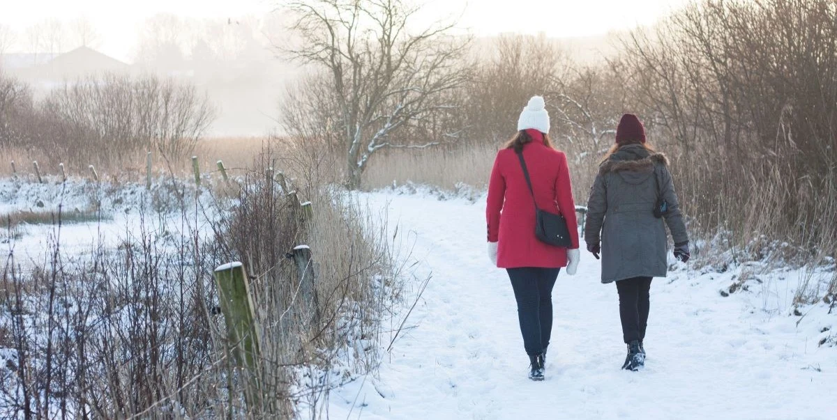 Weekendens vejr ifølge DMI: Vinterlige byger og sne