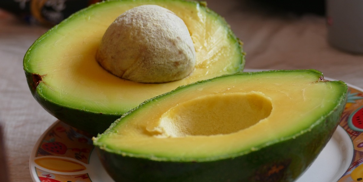 Sådan holder du dine avocados friske i en hel måned