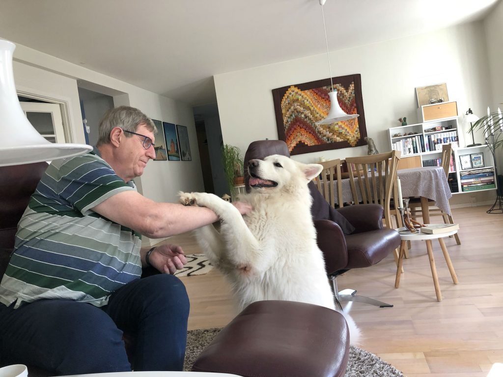 Heltegerning: Hunden Thor reddede sin nabos liv