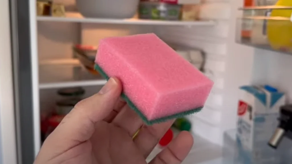 Har en vild effekt: Derfor bør du lægge en svamp i køleskabet