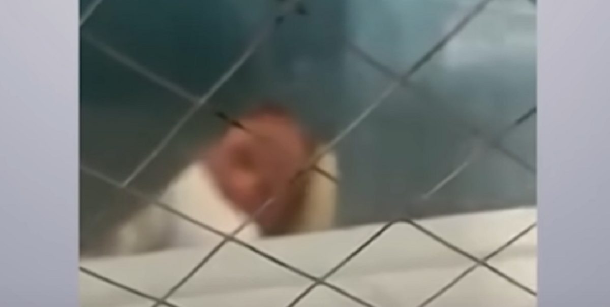 Faren filmer sygeplejersken i smug, da hun plejer hans nyfødte: Den forfærdelige video er nu gået viralt