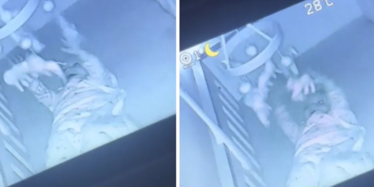 Mor tjekker babyalarm kl. 04:55 om morgenen: Er ikke forberedt på, hvad hun ser