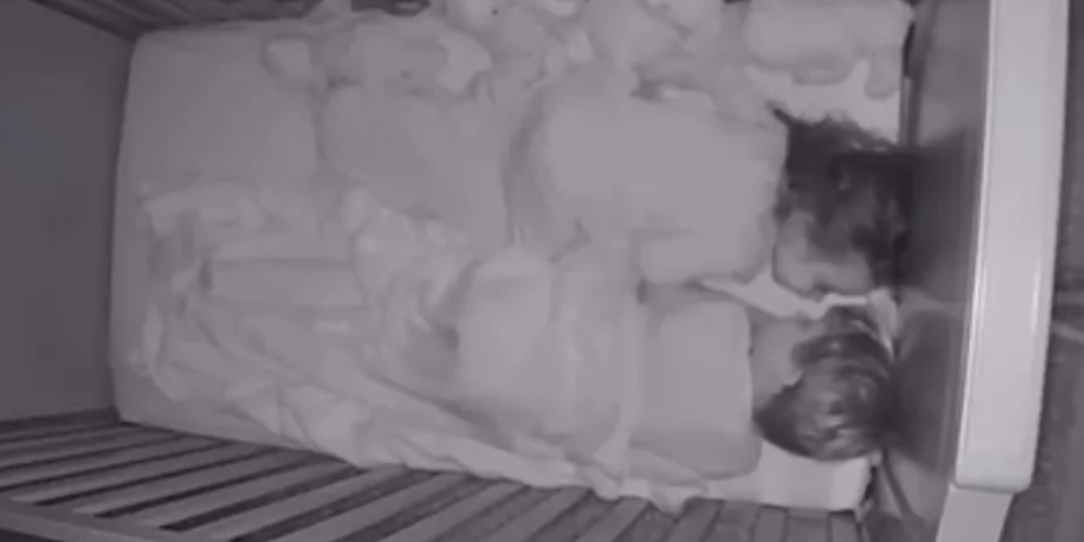 Mor hører sine børns samtale via babyalarm: Kan næsten ikke håndtere, hvad de siger